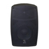 ZZIPP ZZIGAN112 Haut-parleur amplifié alimenté par batterie de 12 pouces